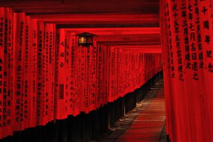 Fushimi Inari